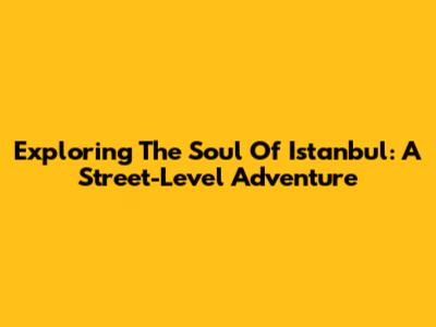 Exploring The Soul Of Istanbul: A Street-Level Adventure