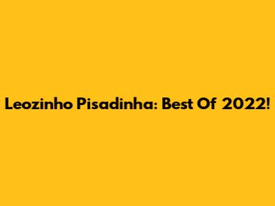 Leozinho Pisadinha: Best Of 2022!